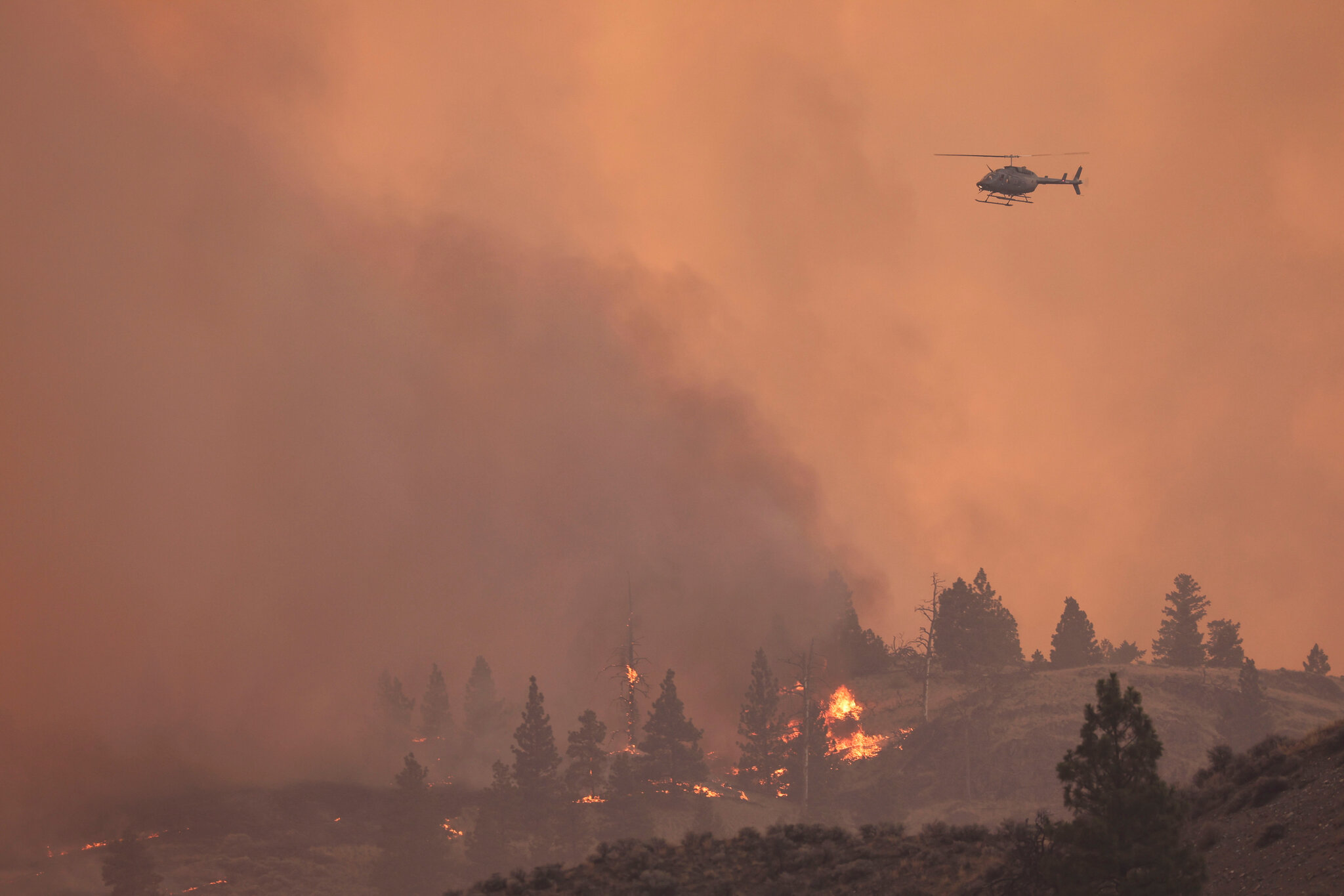 Urgent Update: Wildfire in Jasper: Already Evacuated