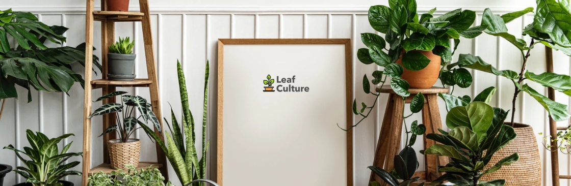 Leaf Culture Cover Image