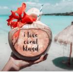 coral island Profile Picture