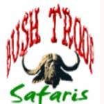 Bushtroop Tours and Safaris Profile Picture