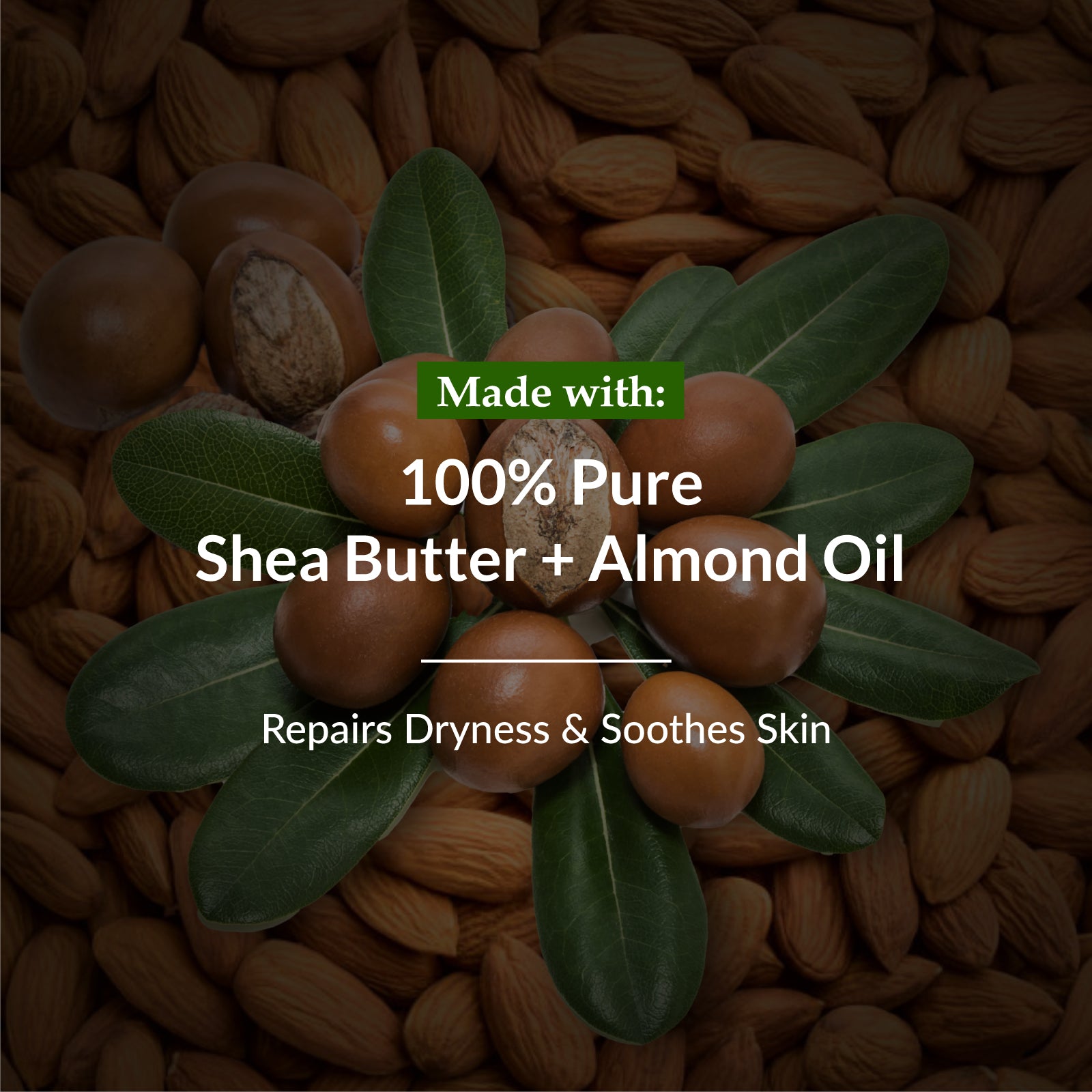 Best Body Lotion For Winter