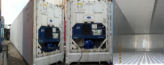 Sewa Container Reefer