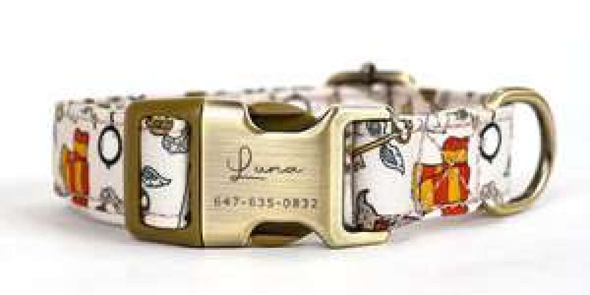 Top Safety Features to Look for in a Custom Dog Collar