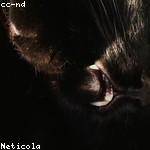 Haylee Yost Profile Picture