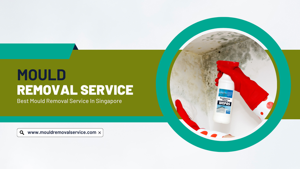 Mould Removal Service Cover Image