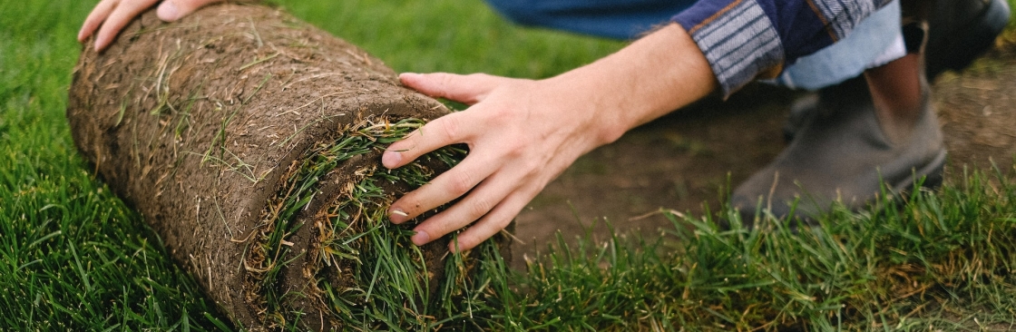 Turf Installation Sydney Cover Image
