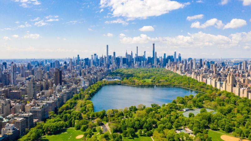 Turkish Airlines New York Office +1-888-839-0502