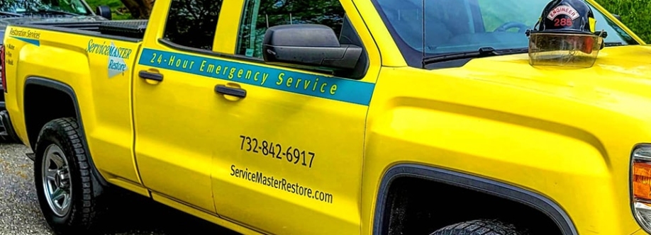 ServiceMaster by REPLACEMENTS Cover Image