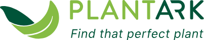 Buy & Sell Haworthia  | Plants Online Australia | PlantArk