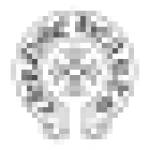 chrome hearts clothing Profile Picture