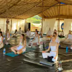 Mahi Yoga Teacher Training in Dharamsala Certified Yoga Alliance