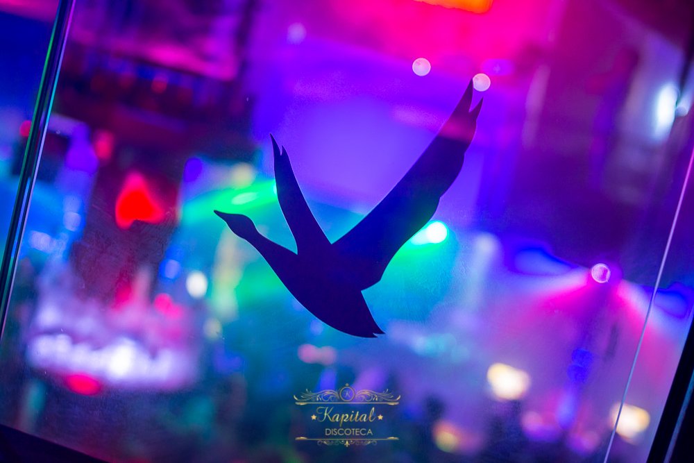 Descubre las Mejores Discotecas Andorra : Vida Nocturna