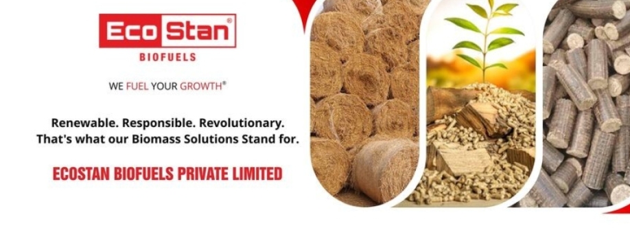Ecostan Biofuel Cover Image