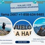 Vuelos desde la Habana desdelahabana Profile Picture