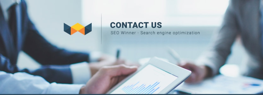 wynnsoft seo Cover Image