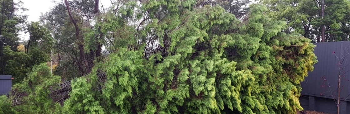 Sams Tree Services North Shore Cover Image