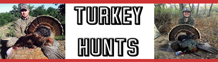 Cheap Texas Turkey Hunts - Book Affordable Adventures Now!