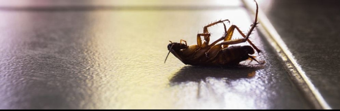 Knockdown Pest Control Cover Image