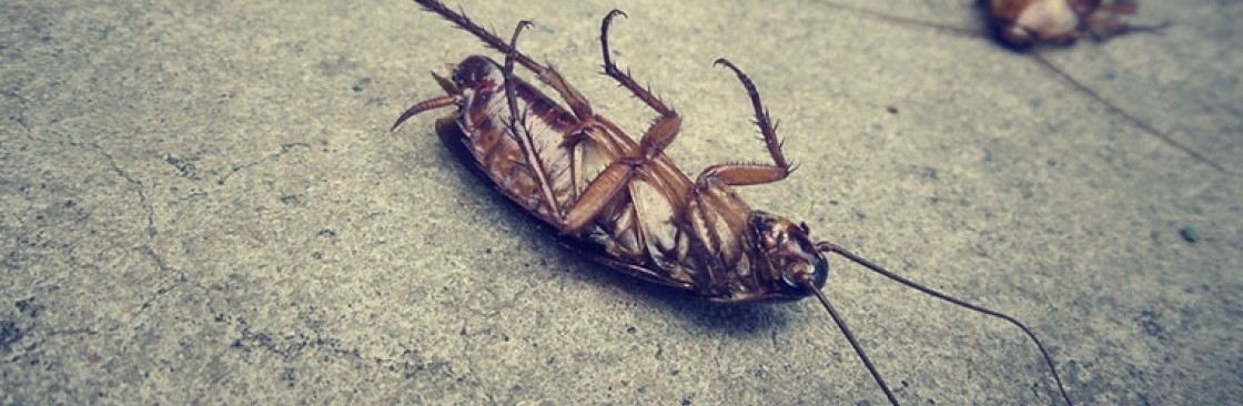 Active Pest Control Management Cover Image