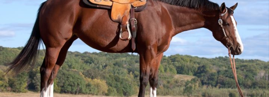 McDaniel Custom Saddles Cover Image