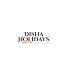 Disha Holdiays Profile Picture