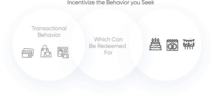 Loyalty Points Program System - Customer Retention Programs - Novus