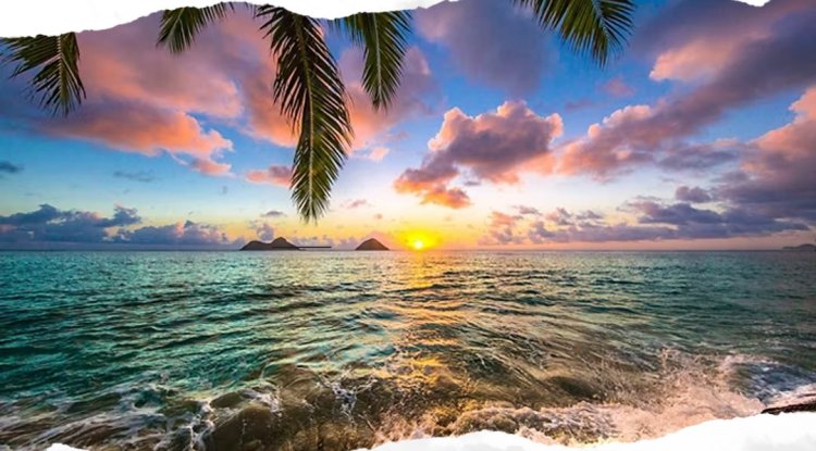 How Can You Make Shipping Household Goods from Hawaii to the Mainland Stress-Free? - Los Angeles Newswire