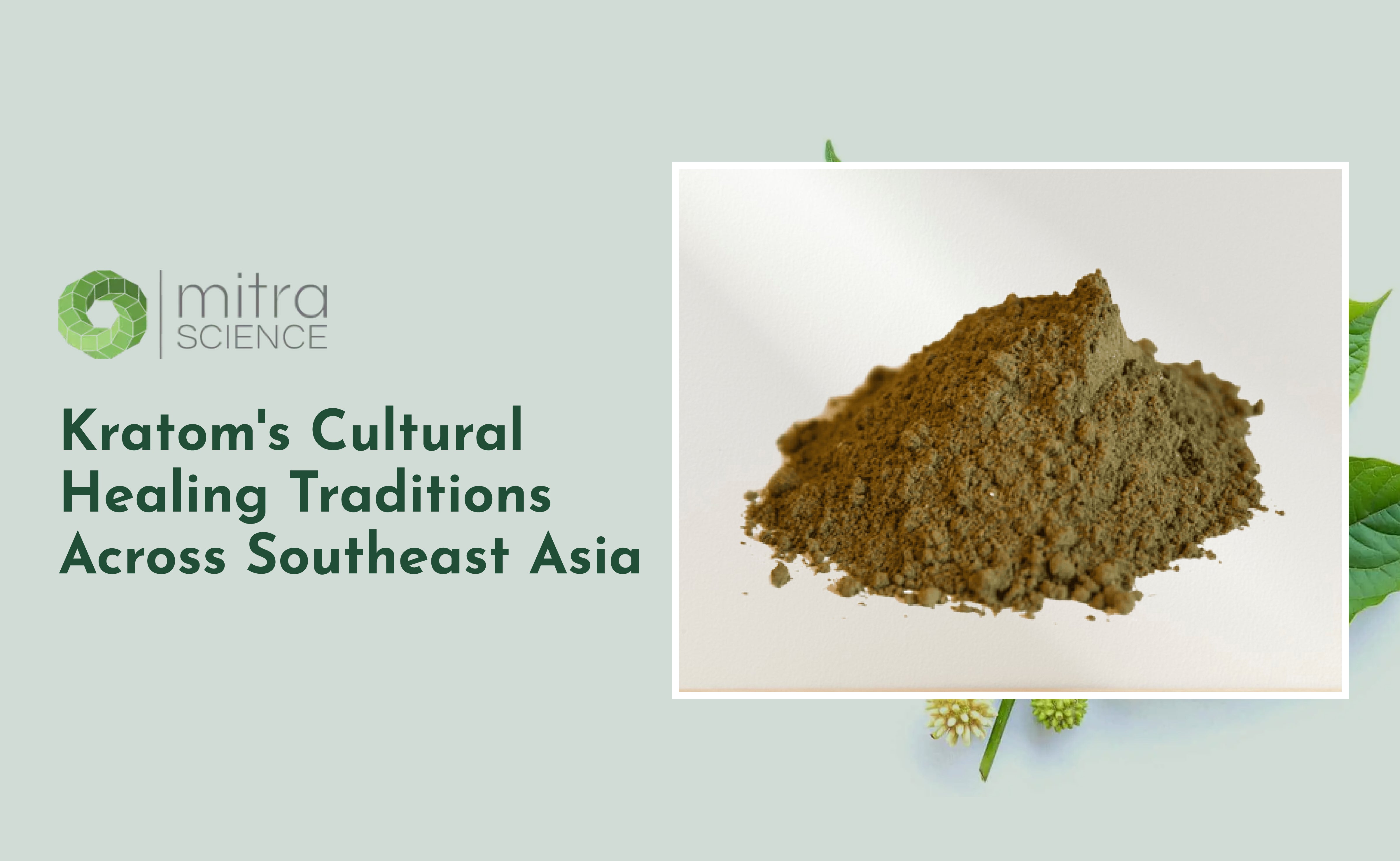 Kratom's Cultural Healing Traditions Across Southeast Asia  – mitrascience