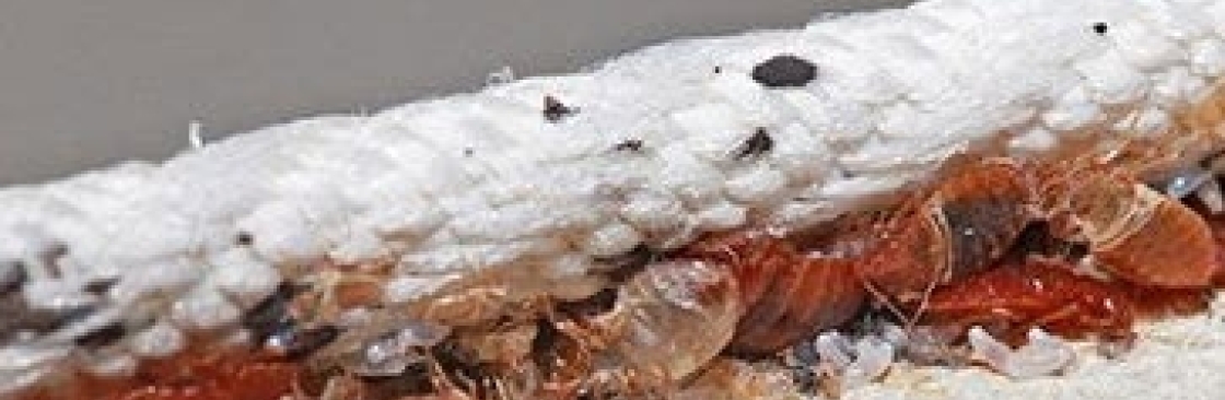 Bug Free Pest Control Cover Image