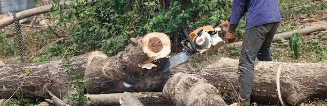 Sydney Side Tree Services Cover Image
