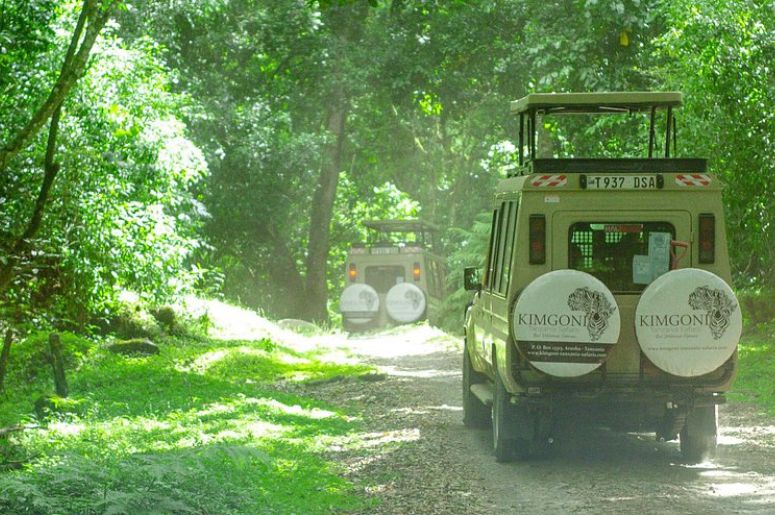 Safaris in Tanzania - Tanzania luxury Safari Lodges - Kimgoni Tanzania Safaris