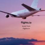 filghts offcial89 Profile Picture