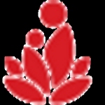 Drsarada Mamilla profile picture