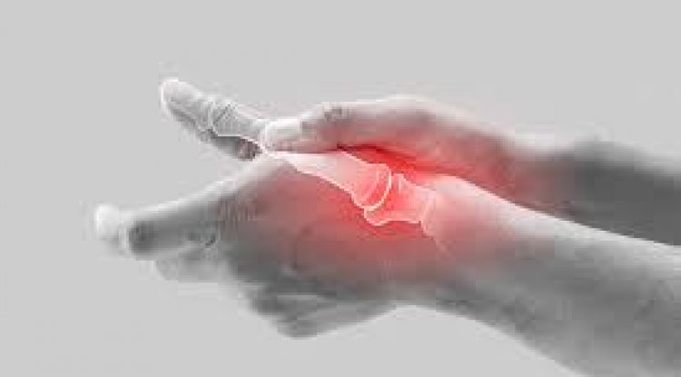 Vitamins for Bones and Joints for Adults, Alabama – Herbal Care Products - Dubai Entertainment