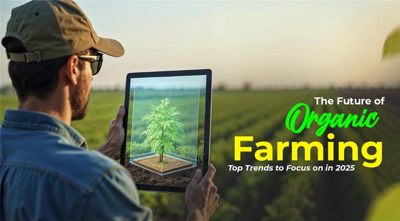 Top Trends to Focus in Future of Organic Farming in 2025 | Harisharan Devgan
