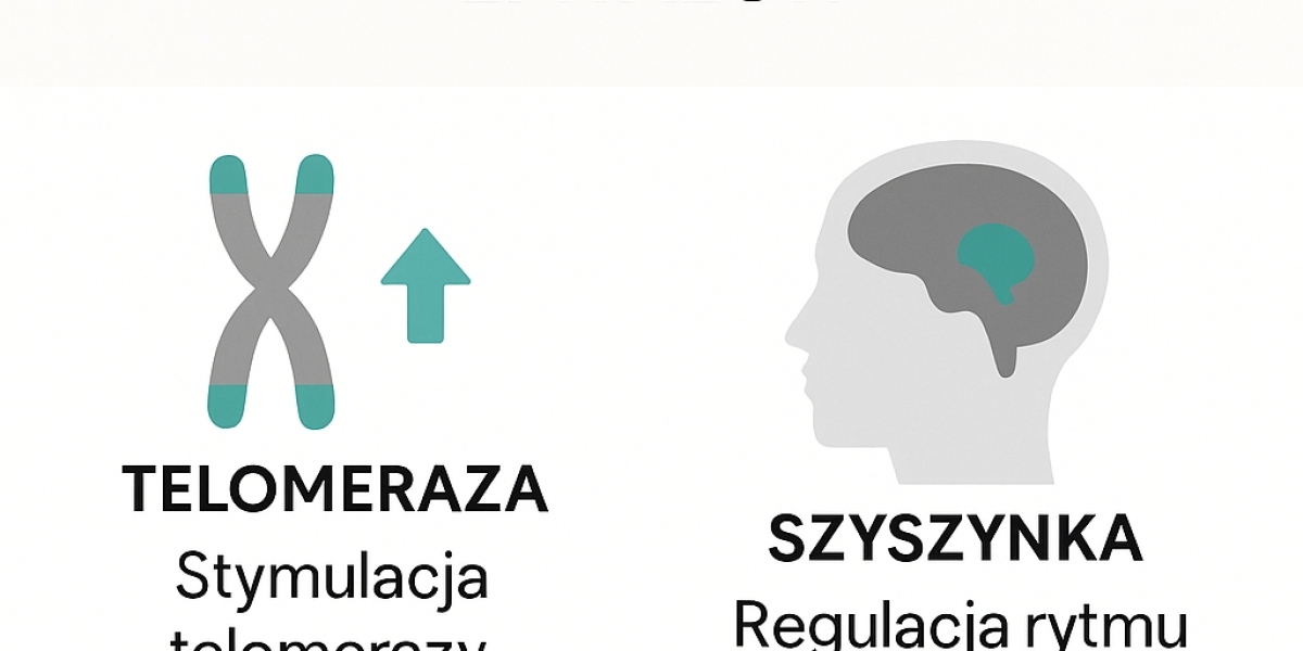 Epitalon – Rewolucyjny Peptyd Przeciwstarzeniowy. Co to jest i jak działa?