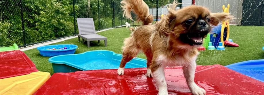 Pet Play Place Cover Image