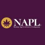 Nap Limited profile picture