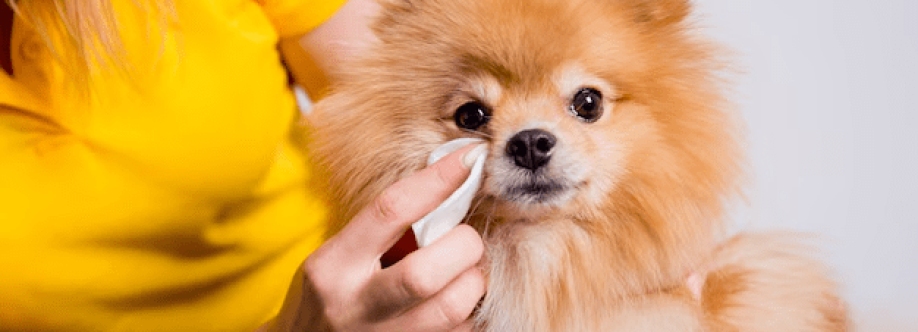 Pet Hospital Cover Image