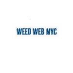 Weed Web NYC profile picture