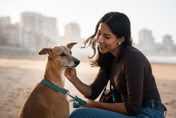How to find good dog food in India