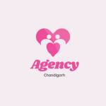 Agency Chandigarh Escorts Profile Picture