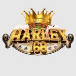 Harley 168 Profile Picture