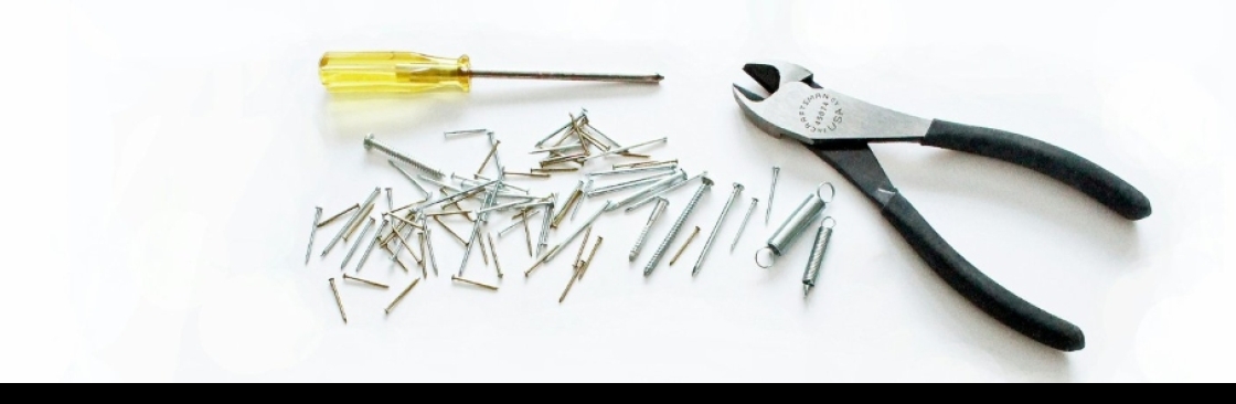 Repair Master Cover Image
