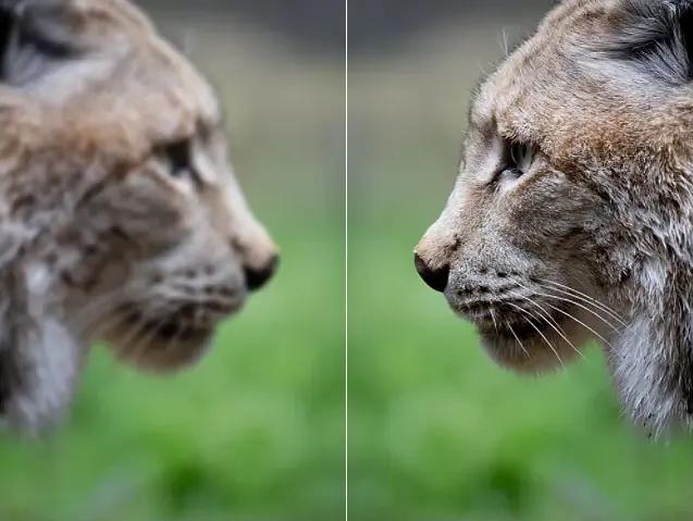 Enhance It Pro Profile Picture