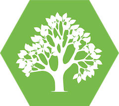 Belfast Tree Surgeons | Tree Removal Services near me NI - McAuley