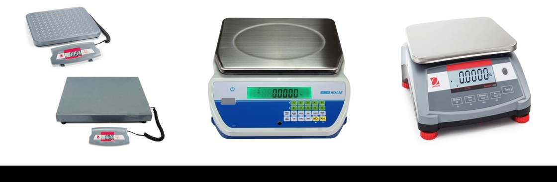 Scales and Balances Cover Image