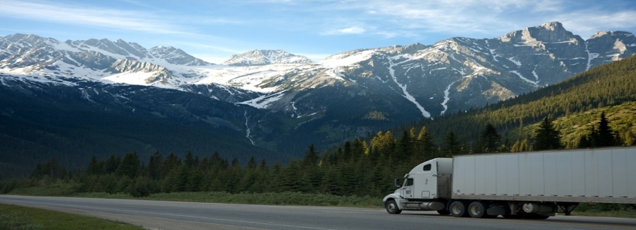 Vantage Cargo Cover Image