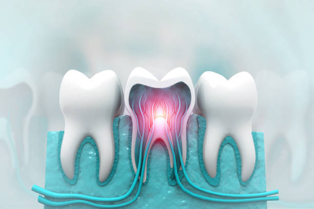 Elevate Your Smile: What the Best Dentist Waterford MI Offers Today | Stannard, Studt & Tironi Dentistry