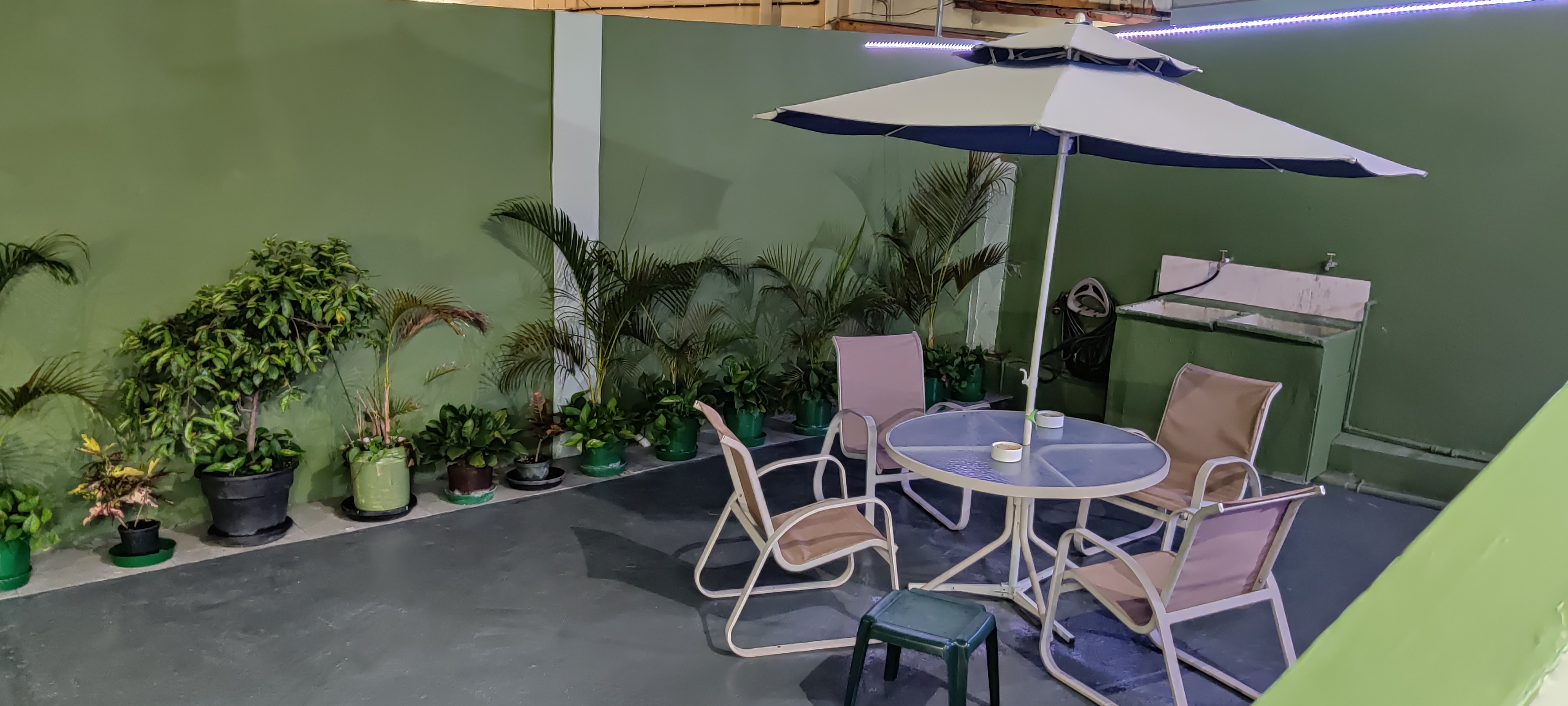 Bed and Breakfasts in Trinidad | Book Your B&B Stay